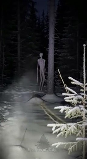 Something Tall Was Moving Between the Trees… #horror #nightfootage #scarystories