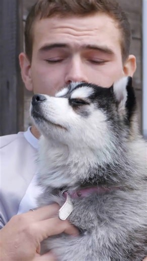 Will a poor rescue puppy be incontinent forever? 😭 #rescuedog #dog #puppy | Vet On The Hill