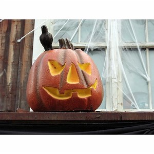 Halloween Games for a Sixth Grade Class Party | Synonym