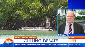 54K views · 367 reactions | Queensland's problem with crocodiles is back on the political agenda, with Katter's Australian party launching a fresh attempt to introduce culling. What do you think of this? #9Today | TODAY | Facebook