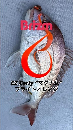 瀬戸内タイラバ 金比羅丸さん 2026/3/11 AM8:56ごろ 瀬戸大橋東側海域 水深約61m #タイラバ #釣り #tairubber