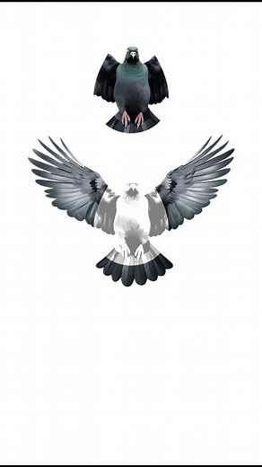 Sk Challenge 143 on Instagram: "Stop Challenge for you 000.001%💪 #challenge #puzzle #newchallenge #newpuzzle #game #reels #trending"