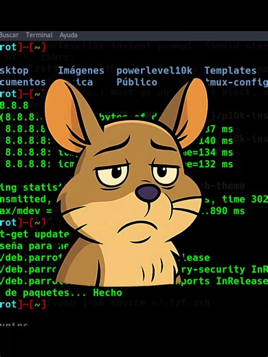 Mejorar mi terminal con Zsh, y otros complementos #programming #linux #bash #zsh #batcat