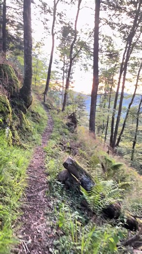 Exploring Nature: A Scenic Hiking Adventure