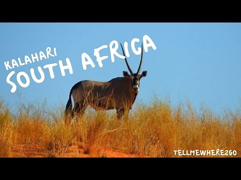 Kalahari Desert, South Africa