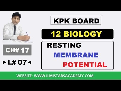 Resting Membrane Potential | 12 Class Biology Chapter 17