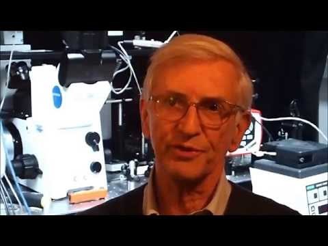 Optogenetics without Genetics