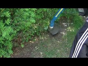 Rasentrimmen mit Elektro-Rasentrimmer