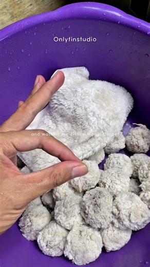 Aquarium Filter cleaning routine #fishaquarium #fishtank #aquarium