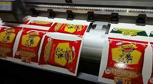Yantu Large Format Flex Vinyl Printer (dx5/dx7/xp600/4720 Printheads Optional, Looking for Oversea Agent )