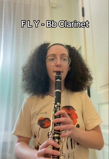 Bb Clarinet Cover of 'F L Y' for Music Lovers