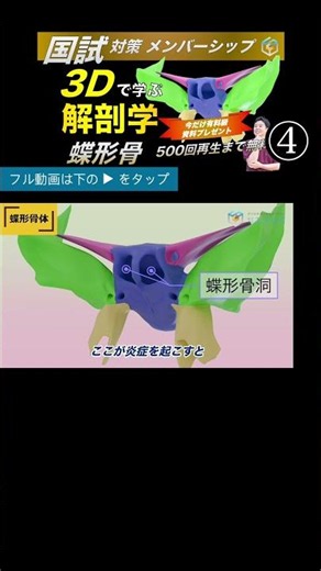 Sphenoid Bone Body ② Sphenoid Sinus [3D Anatomy] Complete mastery of the structure of the sphenoi...