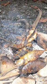 ikan bakar pavorite #cooking #outdoors #food #fishing #camping
