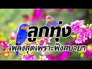 เพลงลูกทุ่งสุดเพราะฟังสบายๆ เสียงคุณภาพ