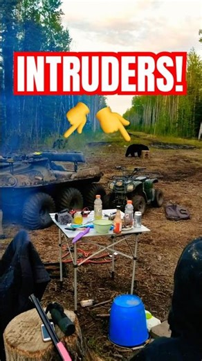 Black Bears in our camp (WE HAD TO HIDE!) 😮 #blackbear #closeencounter