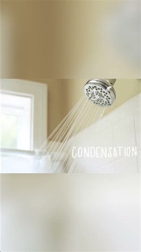 Why an Old Bubble Skylight Needs to be Replaced #velux #bathroomrenovation #skylights