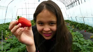 Young girl holding strawberry in greenhouse