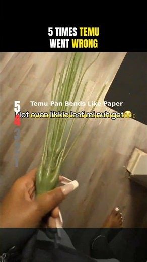 Guess #1 Before You See It! 5 Times Temu Went HORRIBLY Wrong 😱 (Scams, Fines & Fails)