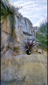 160K views · 1.8K reactions | N’hesite pas à me contacter si tu as le...