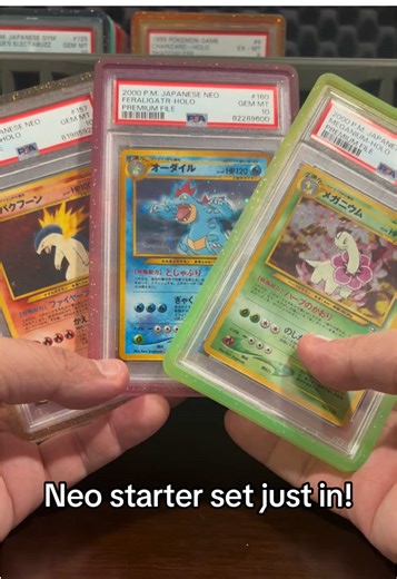 Pokemon Silver & Gold Nostalgia