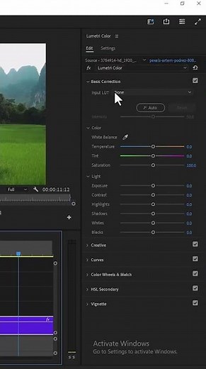 How To Import LUTs Into Premiere Pro