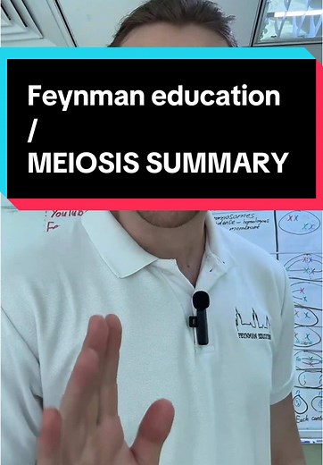 Feynman Education: Your Online Tutoring Solution