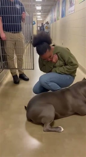 He Froze… Then Realized “She Adopted Me” 😭🐶 #shortsvideos #viral #petbull