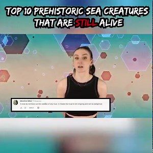 Top 10 Prehistoric Sea Creatures That Are Still Alive | Most Amazing Top 10