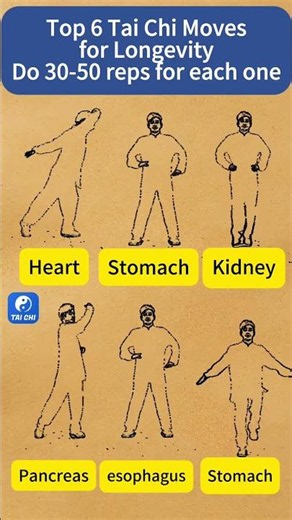 Simple Tai Chi Routine That Supports Every Major Organ #taichi #exercise #wellbeing