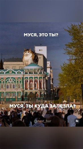 Муся, это ты?