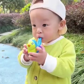 Water Bird Whistle Toy | Kids’ Favorite Sound & Play Toy