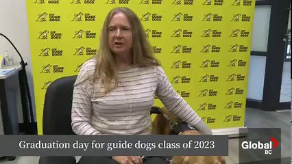 11K views · 203 reactions | Graduation went to the (guide) dogs across Canada today, including in B.C. | Global BC | Facebook