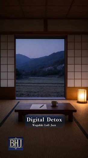 Digital Detox Night | Journaling Vibes (Wagakki Lofi)