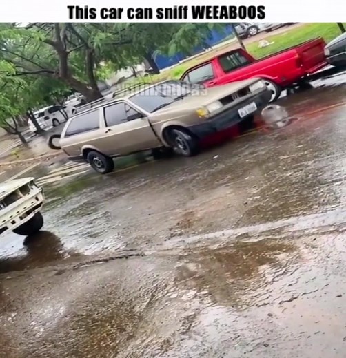 Car Sniffing Meme: Hilarious Trend You Need to See!