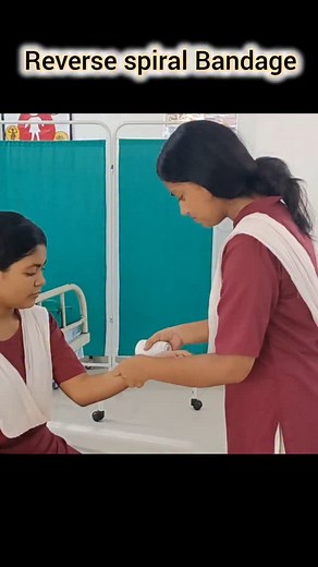 learnwithrajia on Instagram: "Reverse Spiral Bandage Demonstration by Nursing Students | Bandaging Technique Tutorial #education #nursingstudent #nurse #nursing #viralreels #viral ##nursingschool #nursesofinstagram #nursesofinstagram #medical"