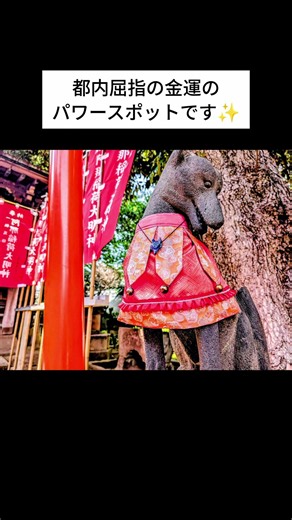 金運のパワースポット✨東京都品川区の品川神社さんの阿那稲荷神社さんと一粒萬倍の泉です✨