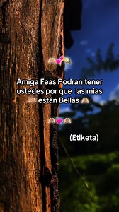 Amigas feas tendrán ustedes: plantilla y frases ingeniosas