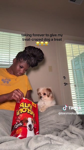 Doggo went 🤨@I Can’t Even (Via:@sonjai sa'maya) | doggo