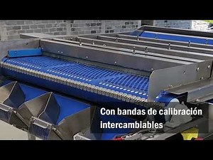 Módulo de calibración de arándanos