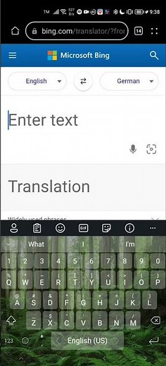 don't translate it to german (on bing translate)