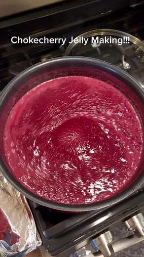 Boiling chokecherry juice to make jelly! #cooking #chokecherry #jelly #fruit #harvest #cook #cookathome