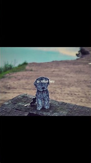 #paperdogs #paperdogs #diy #stopmotion #creativity #handmade #papertoys