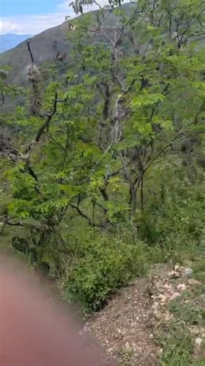 La Administración Municipal, en cabeza del alcalde Jaime Antonio Sepúlveda, visitó las veredas de Aguachica y Ovejeras, donde se adelantan labores de mantenimiento vial para mejorar la movilidad y el acceso de la comunidad rural. Durante la jornada, se realizaron visitas a los reservorios entregados este año y se anunció la construcción de nuevas estructuras, que completarán un total de 70 reservorios en beneficio del sector agrícola y el aprovechamiento del recurso hídrico. | Alcaldia Capitanej