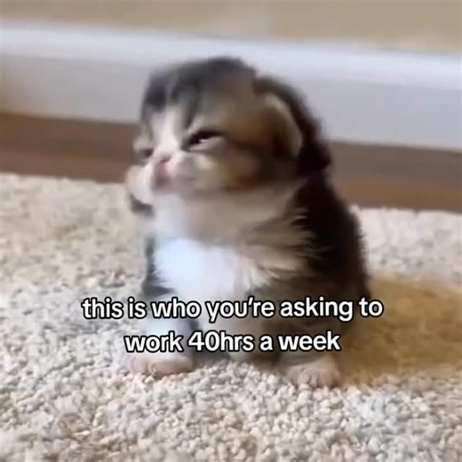 Asian Waifus® on Instagram: "日本利用压电瓷砖将脚步转化为电能。这些瓷砖捕捉来自你脚步的动能。当你行走时，你的重量和动作会对瓷砖产生压力。瓷砖会轻微弯曲，从而产生机械应力。瓷砖内部的压电材料将这种应力转化为电能。每一步都会产生少量电荷，而数百万步结合在一起就能产生足够的电力来驱动 LED 灯、数字显示屏和传感器。在像涩谷车站这样繁忙的地方，每天大约有 240 万个脚步为这一系统作出贡献。这些电能可以被储存或立即使用，从而减少对传统电力来源的依赖，并支持可持续的城市基础设施。这种方法将日常运动转化为实用的可再生能源 #日本 #知识 #事实 #你知道吗 #推荐 科技 创新 历史 技术 实验 热门 日本利用压电瓷砖将脚步转化为电能。这些瓷砖捕捉来自你脚步的动能。当你行走时，你的重量和动作会对瓷砖产生压力。瓷砖会轻微弯曲，从而产生机械应力。瓷砖内部的压电材料将这种应力转化为电能。每一步都会产生少量电荷，而数百万步结合在一起就能产生足够的电力来驱动 LED 灯、数字显示屏和传感器。在像涩谷车站这样繁忙的地方，每天大约有 240 万个脚步为这一系统作出贡献。这些电能可以