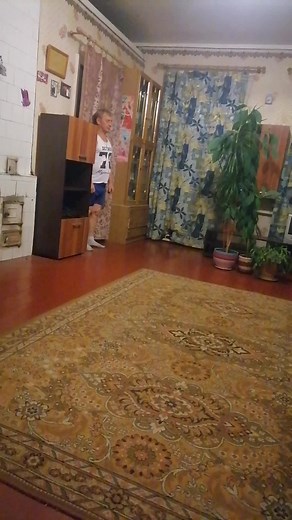 Push-Up Routine with Cat in Cozy Indoor Setting