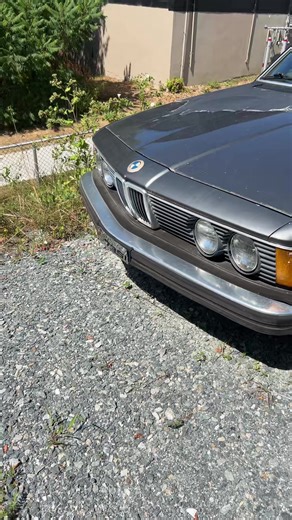 #creatorsearchinsights #fyp #drivven