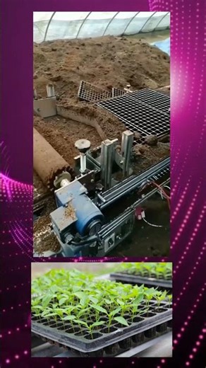 Automatic Nursery Tray Filling Machine in Action 🌱 | #FarmingTechnology #NurseryMachine #Innovation