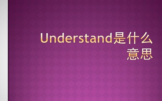 understand什么意思