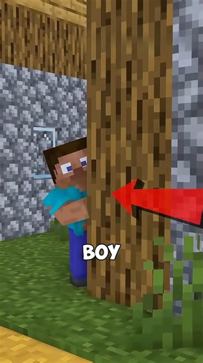 Steve Sacrificed Everything for Alex | Minecraft Shorts