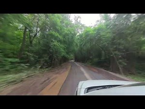 Nallamala forest